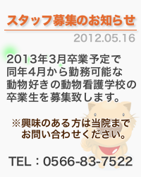 �X�^�b�t��W