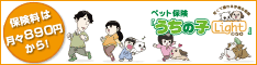 �����̎q���C�g