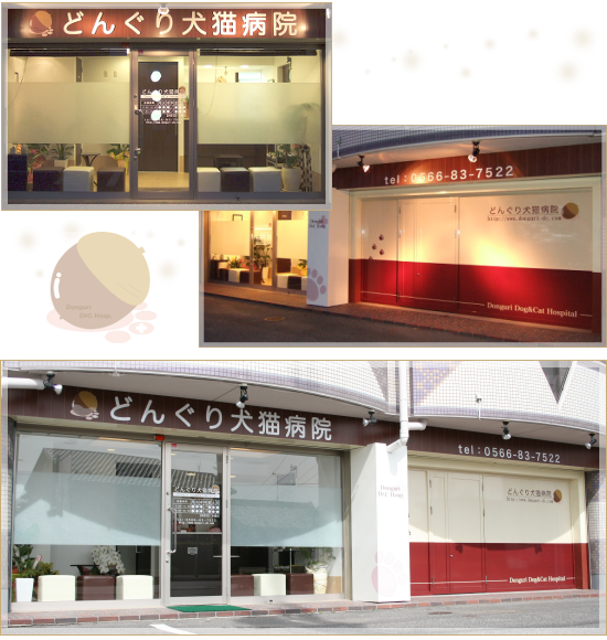 �ǂ񂮂茢�L�a�@